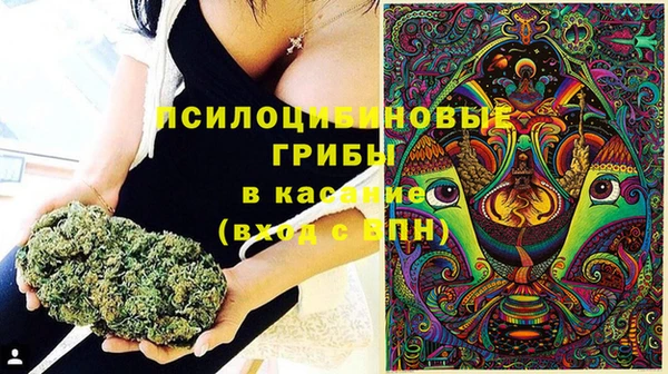 таблы Богородицк