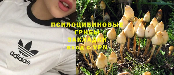 мет Богданович