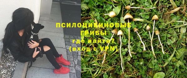 мет Богданович